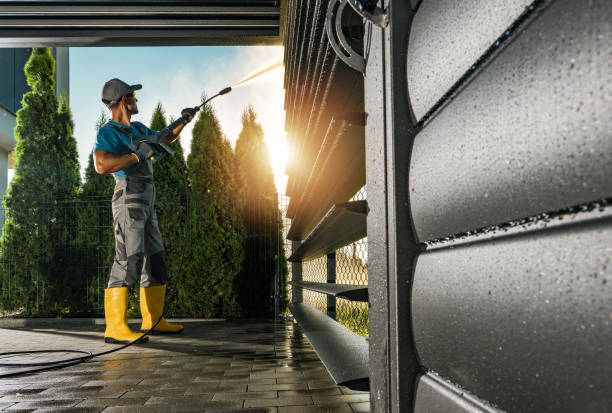 Best Dumpster Area Cleaning  in Willows, CA